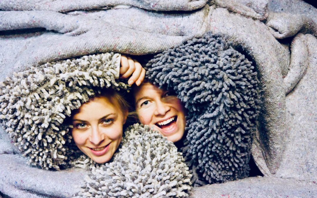 Mücke & Motte
